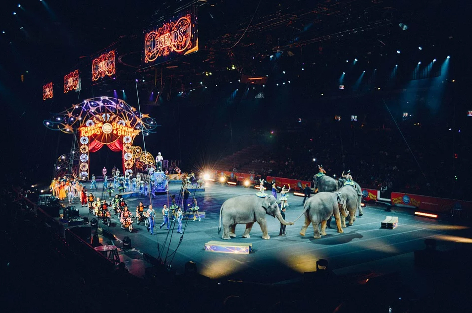 Circus – Dream Meaning and Symbolism - Dream Glossary and Dictionary