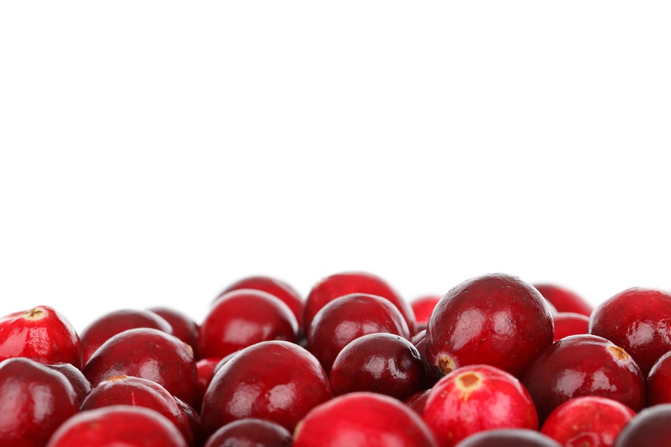 Cranberries in a Dream Meaning and Symbolism Dream Glossary