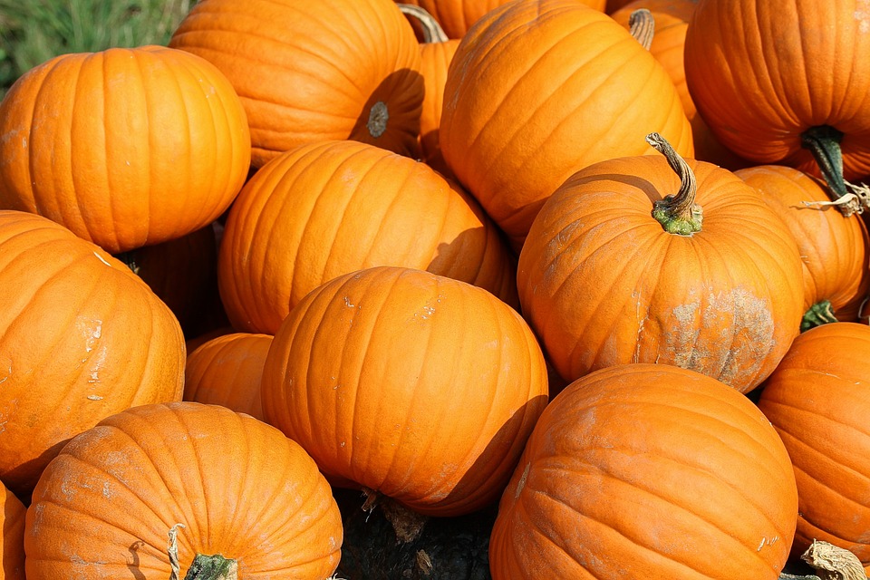 Pumpkins Dream Meaning And Symbolism Dream Glossary