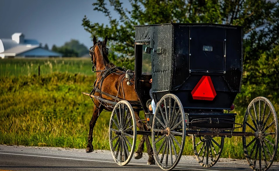 Carriage Dream Meaning And Symbolism Dream Glossary