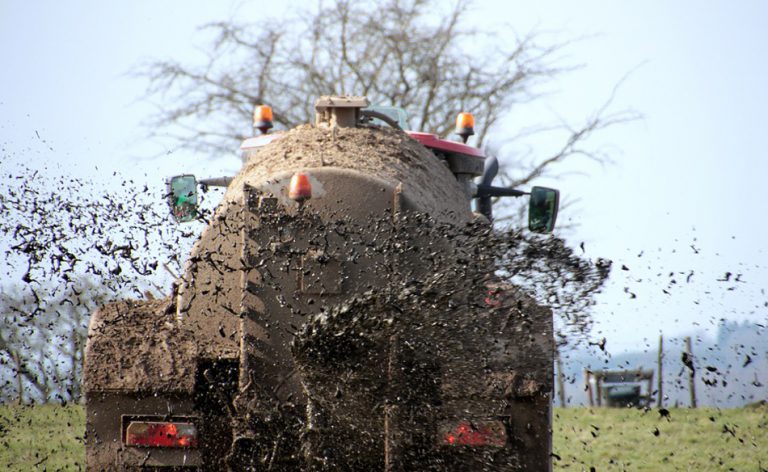 manure-dream-meaning-and-symbolism-dream-glossary