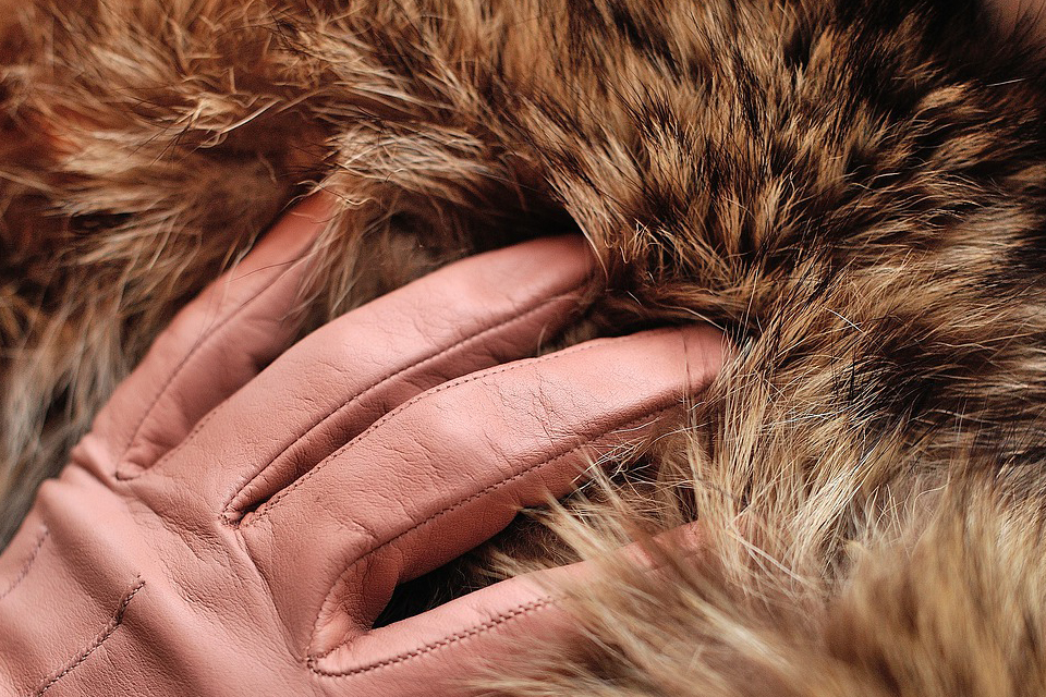 fur-dream-meaning-and-symbolism-dream-glossary