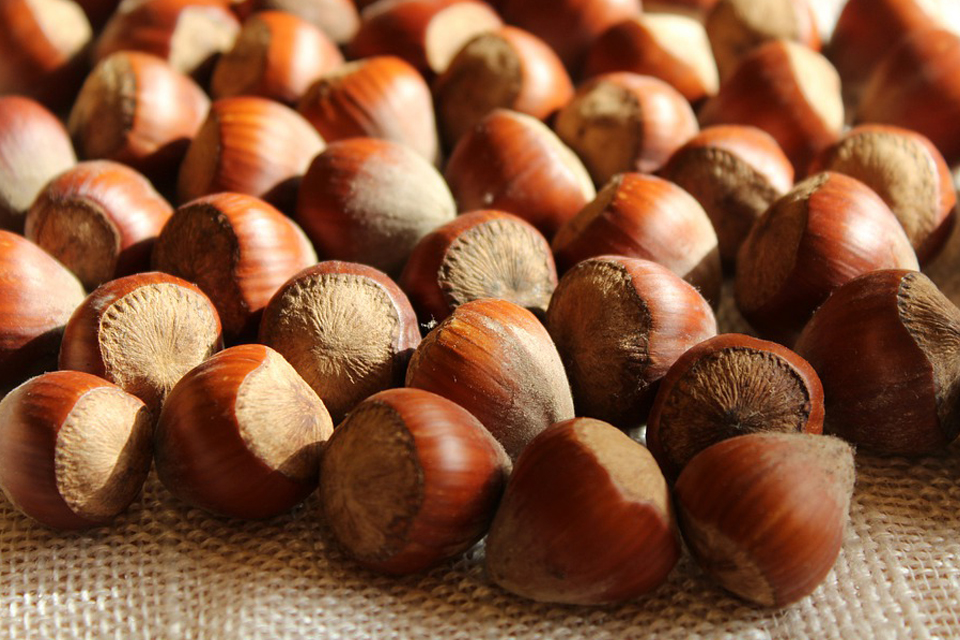 to-dream-about-hazelnuts-meaning-and-symbolism-dream-glossary