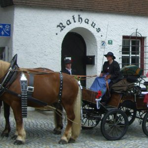 Coachman and tourists