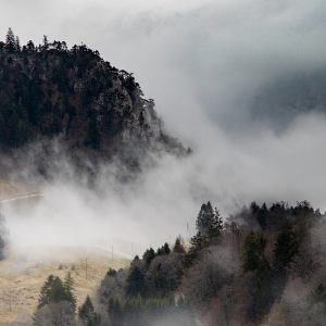 Fog in the valley