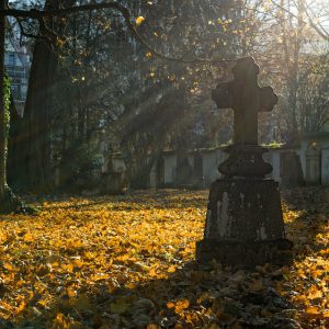 Old tombstone in a park