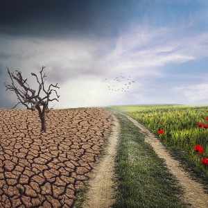 Climate change dream meaning