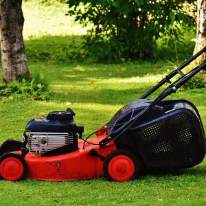 Mower in the yard