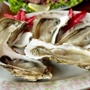 Oysters on a plate