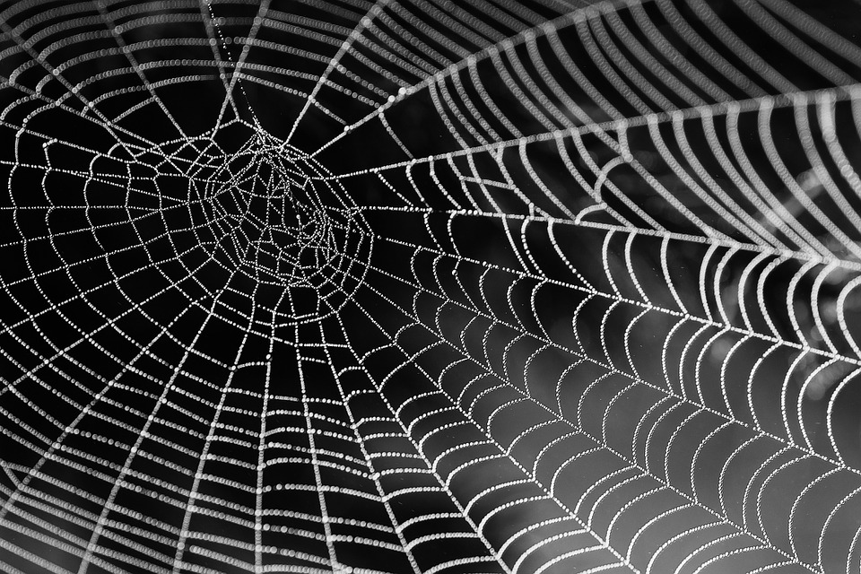 Meaning Of Spider Web In A Dream Dream Glossary