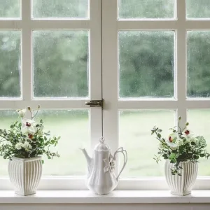 Flowers on the windowsill