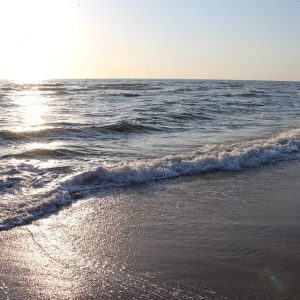 Sea coast during high tide