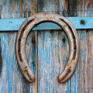 Hanging horseshoe