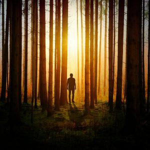 A man stands among the trees of the forest at sunset