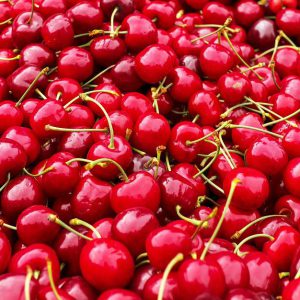 A bunch of cherries on display