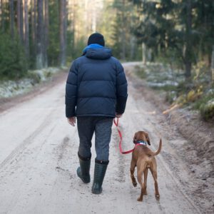 Forester with a dog, walking on a forest road